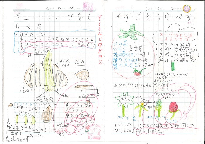 自学の取り組み 魚津市立清流小学校