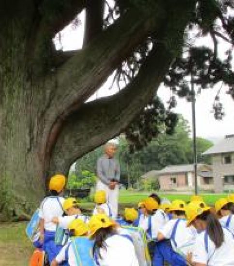 西布施・片貝地区見学 ３年（7/5）