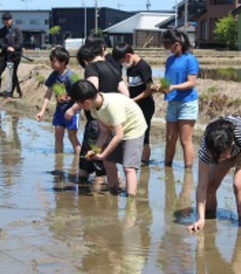 田植え体験（５年生）